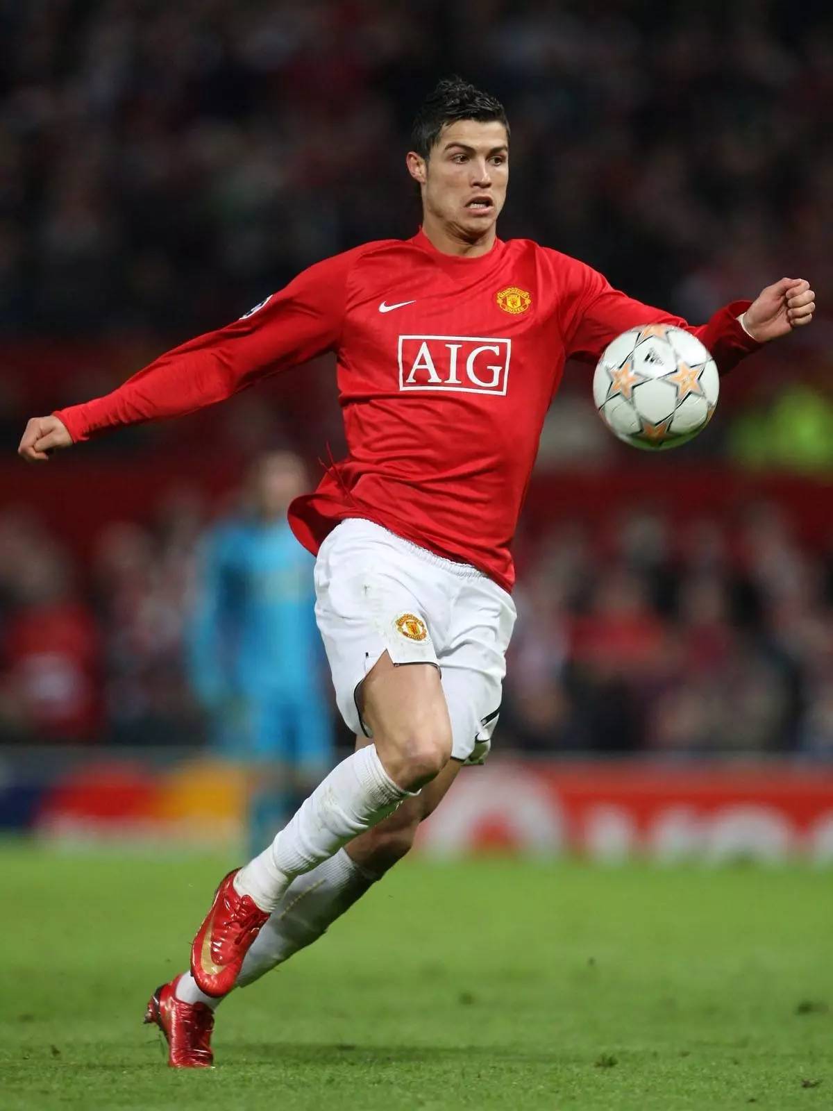 将自己降落 将自己降落