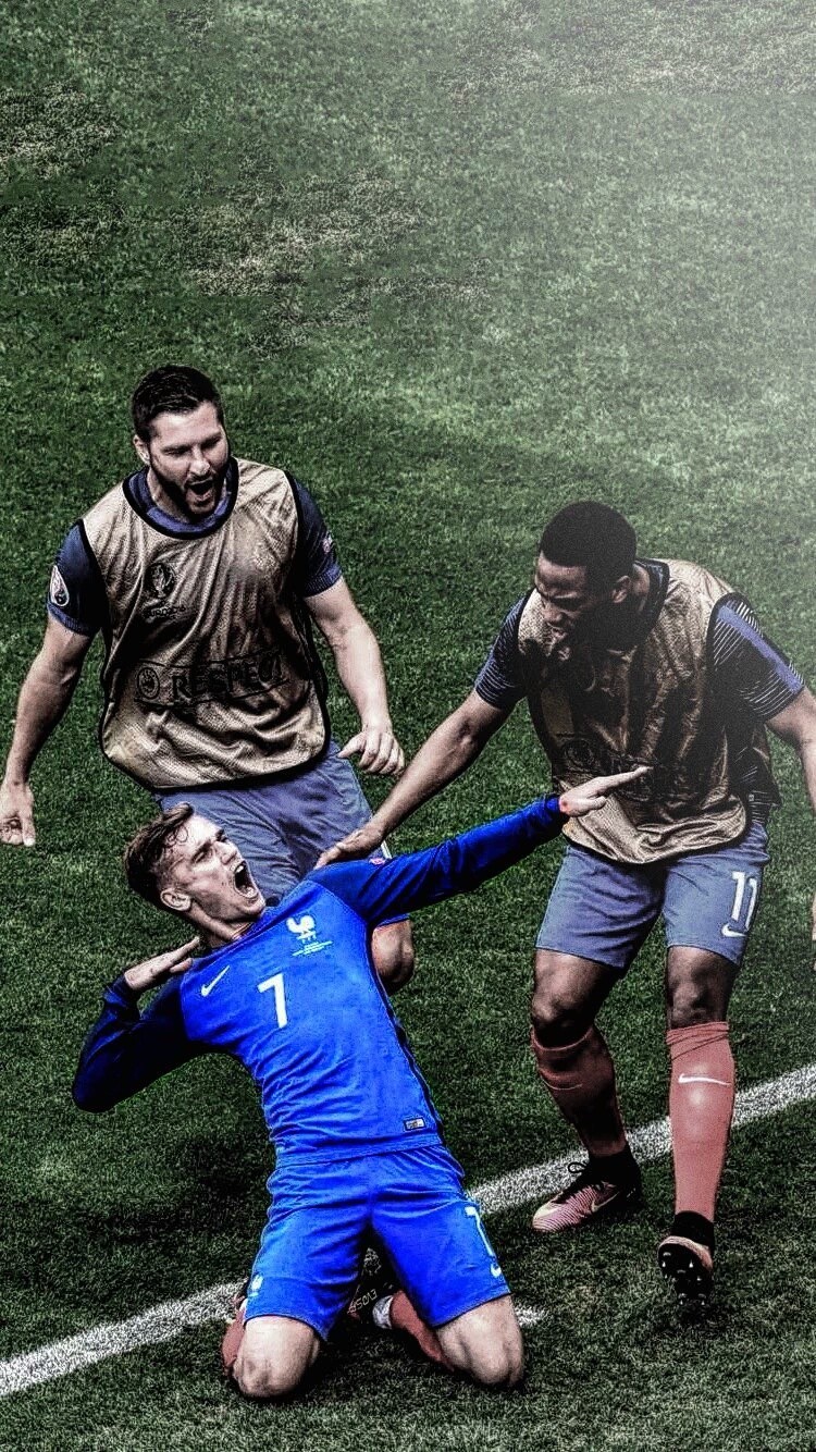 森林狼依赖 森林狼依赖