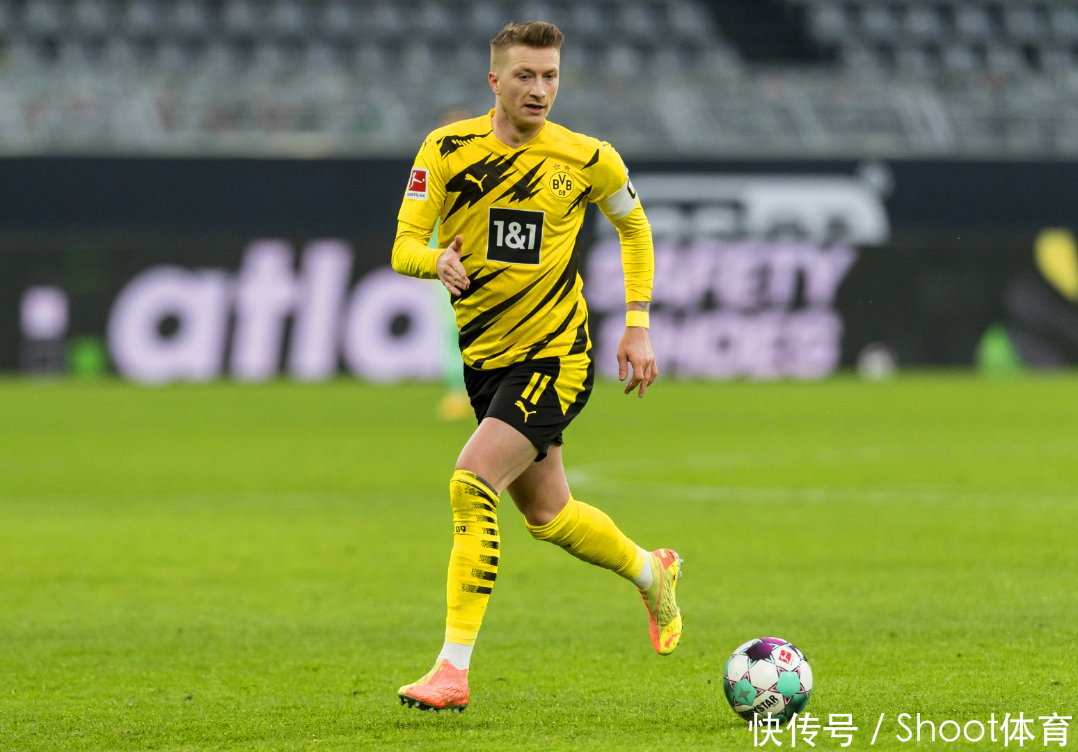 本土生态 本土生态